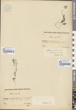LE 01266830