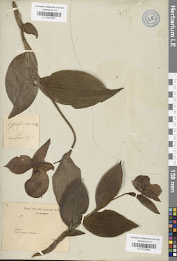 LE 01027901