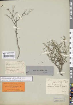 LE 01053146