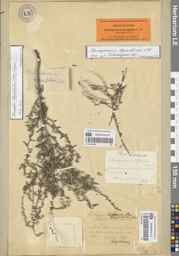 LE 01053149