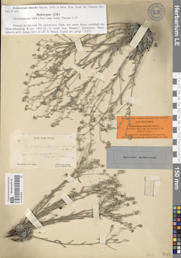 LE 01053443