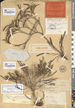 LE 01046184