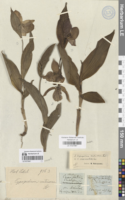 LE 01027967