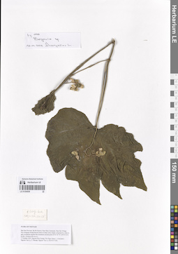 LE 01254039