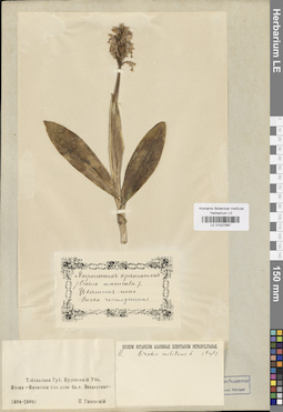 LE 01027987