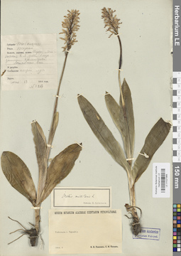 LE 01027989