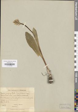 LE 01027994