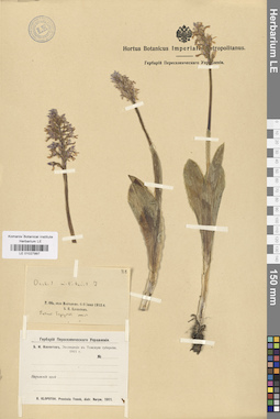 LE 01027997