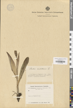LE 01027999