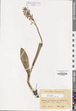 LE 01028023