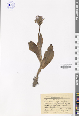 LE 01028024
