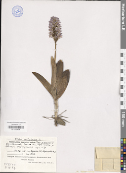 LE 01028026