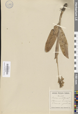 LE 01028040