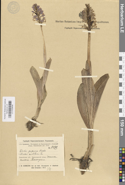 LE 01028048