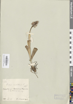 LE 01028107