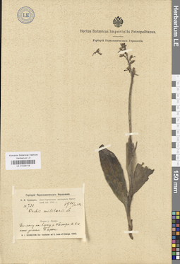 LE 01028118