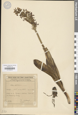 LE 01028135