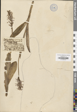 LE 01028140
