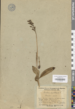 LE 01028145