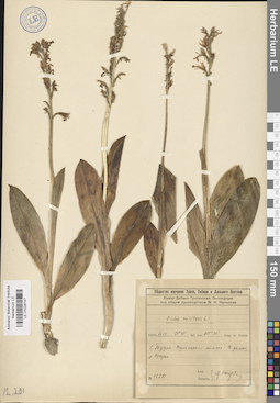 LE 01028147