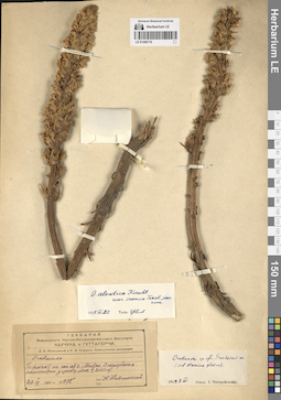 LE 01268170
