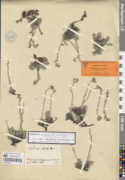 LE 01053456