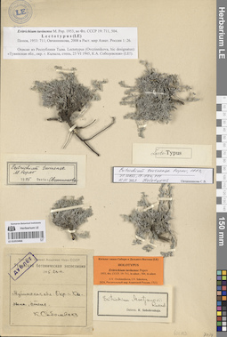 LE 01053466