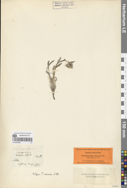 LE 01053482