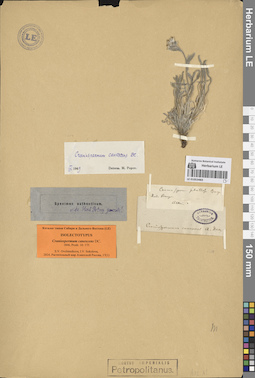 LE 01053483