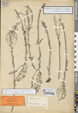 LE 01053496