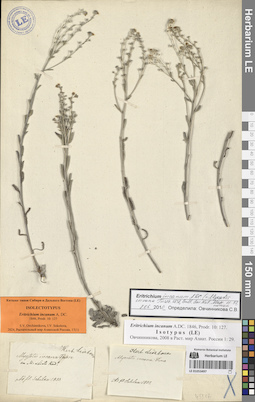 LE 01053497