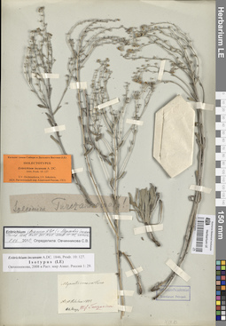LE 01053501