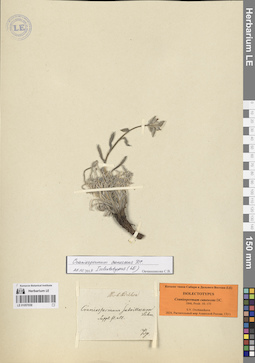 LE 01057039
