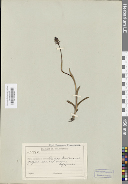 LE 01028169