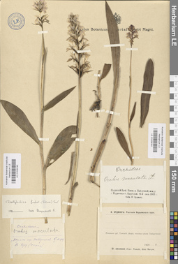 LE 01028192