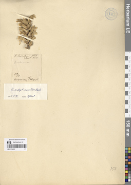 LE 01274293