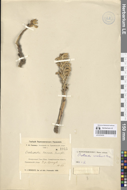 LE 01274310