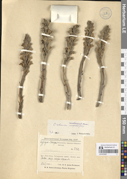 LE 01274321
