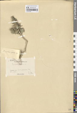 LE 01121749