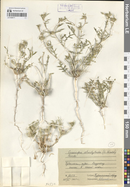 LE 01268171
