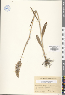 LE 01028201