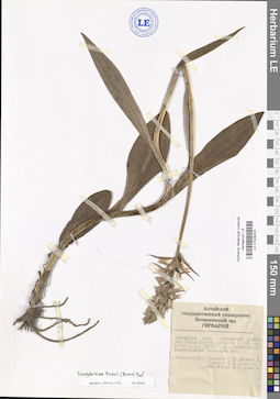 LE 01028203