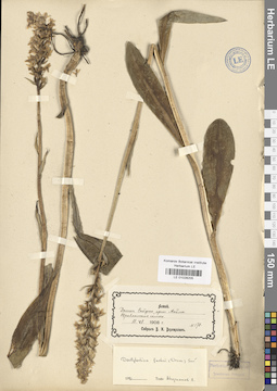 LE 01028205