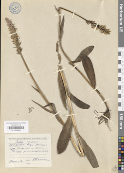 LE 01028206