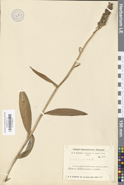 LE 01028207