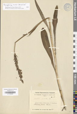 LE 01028208