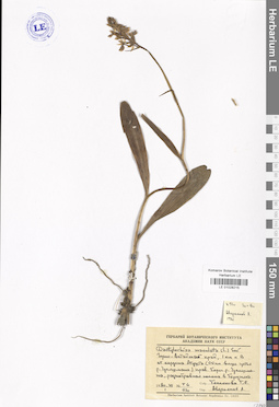 LE 01028215