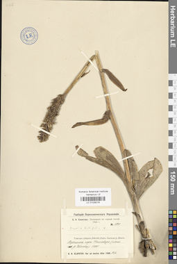 LE 01028218