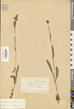 LE 01028307