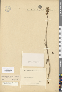 LE 01028361